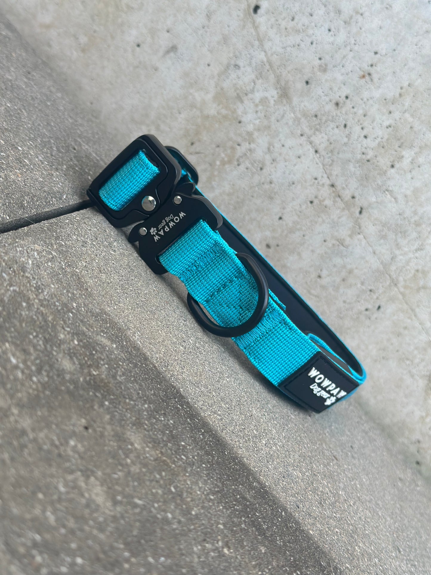 Obroża LED dla psa jasnoniebieska rozmiar XS 2,5 cm