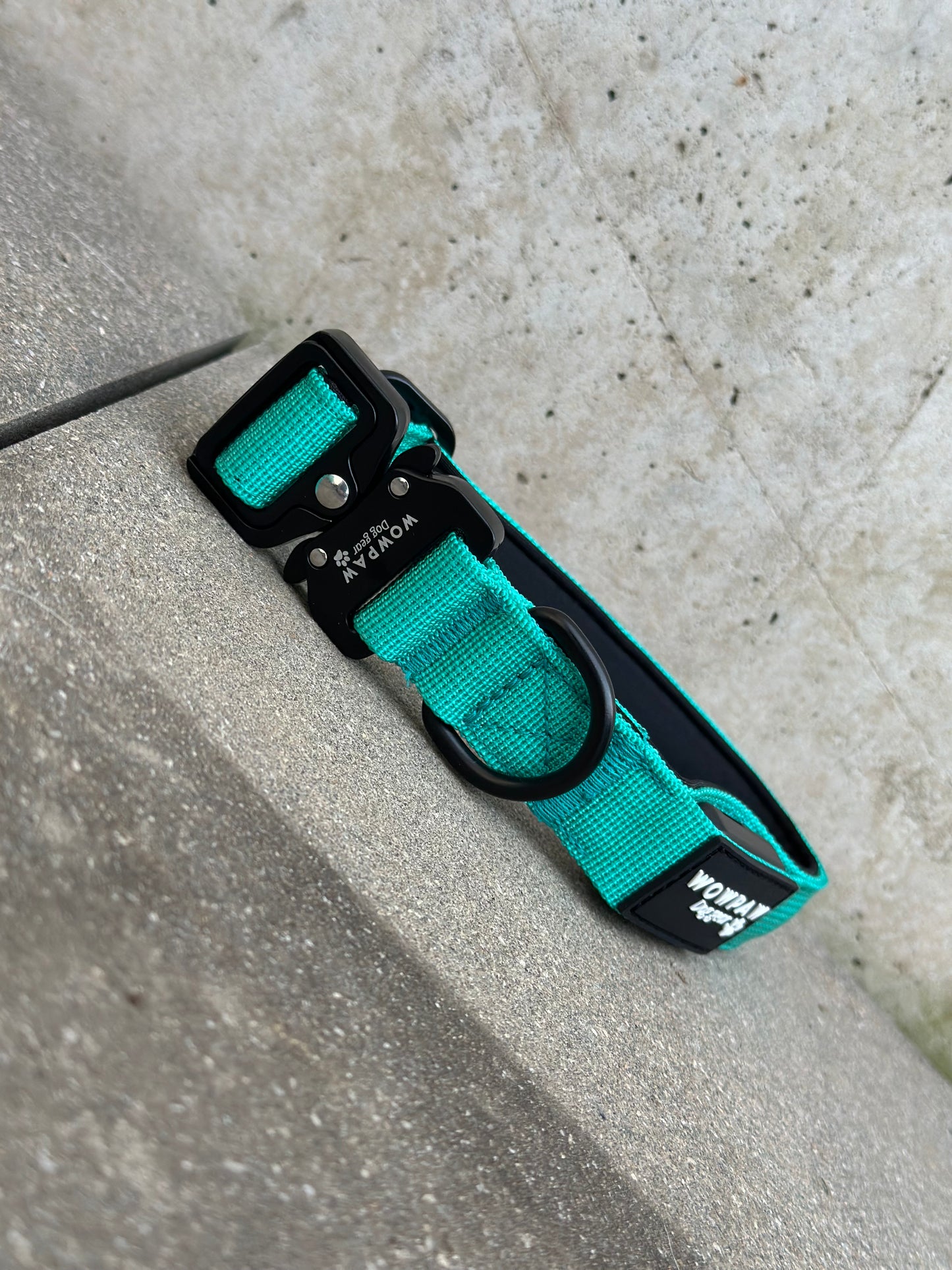 Obroża LED dla psa turkusowa rozmiar XS 2,5cm