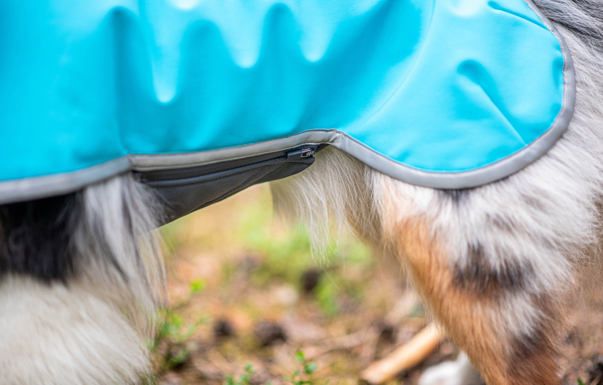 Pompy sportowe ARCTIC