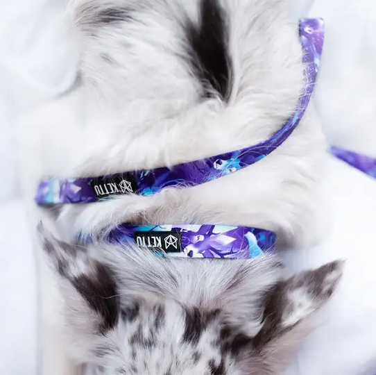 KETTU verstellbare Hundeleine Patronus