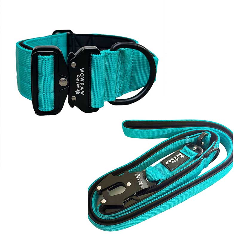 Zestaw obroża taktyczna dla psa w kolorze turkusowym w rozmiarze S i smycz taktyczna w kolorze turkusowym