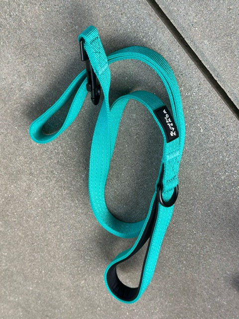 Standard Hundeleine S Länge 1,5m Türkis