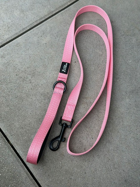 Standard Hundeleine S Länge 1,5m Rosa