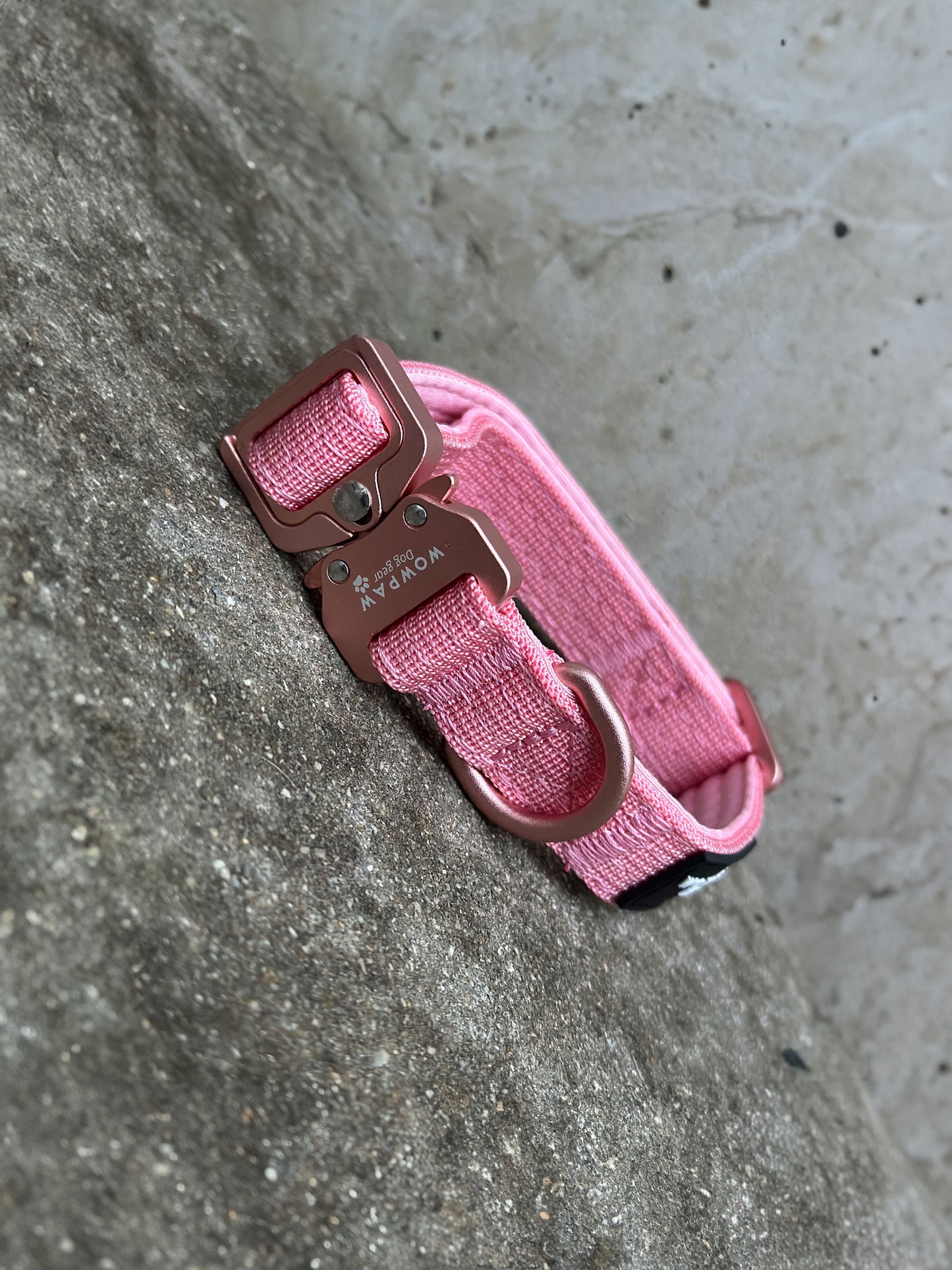 Collare per cani tattico di alta qualità 2,5 cm arancione neon taglia XS