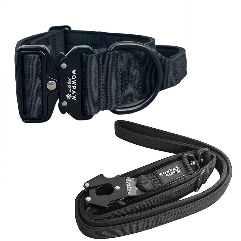 Set Taktisches Hundehalsband Schwarz Größe S & taktische Hundeleine Sc –  Wowpaw Online Shop