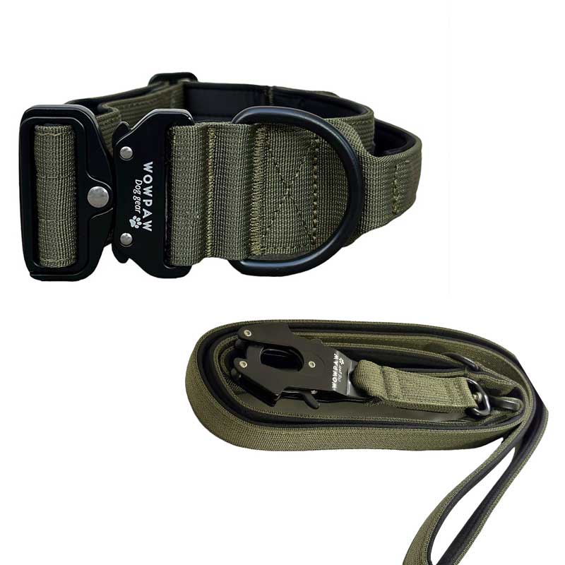 Set Taktisches Hundehalsband Army green Größe S & taktische Hundeleine Army green