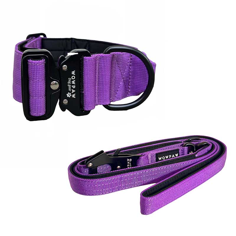 Zestaw taktyczna obroża dla psa w kolorze ciemnofioletowym w rozmiarze S oraz smycz taktyczna w kolorze ciemnofioletowym