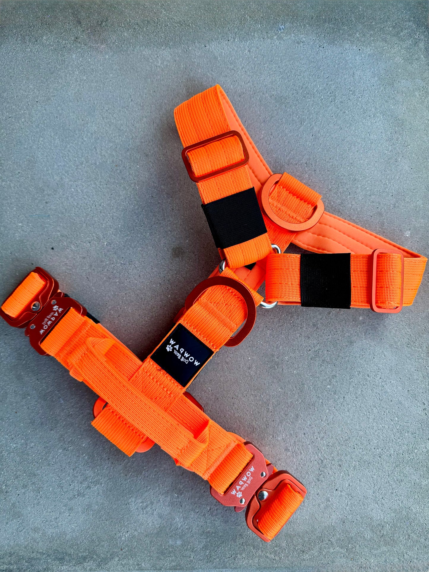 Wysokiej jakości szelki dla psa, rozmiar L, edycja neonowo pomarańczowa