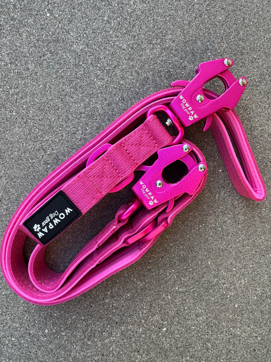 Smycz taktyczna dla psa ULTRA LIGHT Sky Blue Edition, długość 2m regulowana