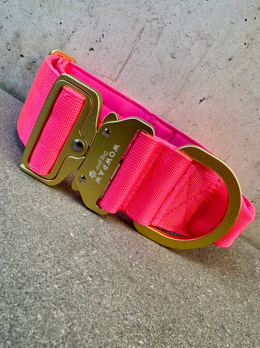 Obroża taktyczna dla psa ULTRA LIGHT Sky Blue Edition S