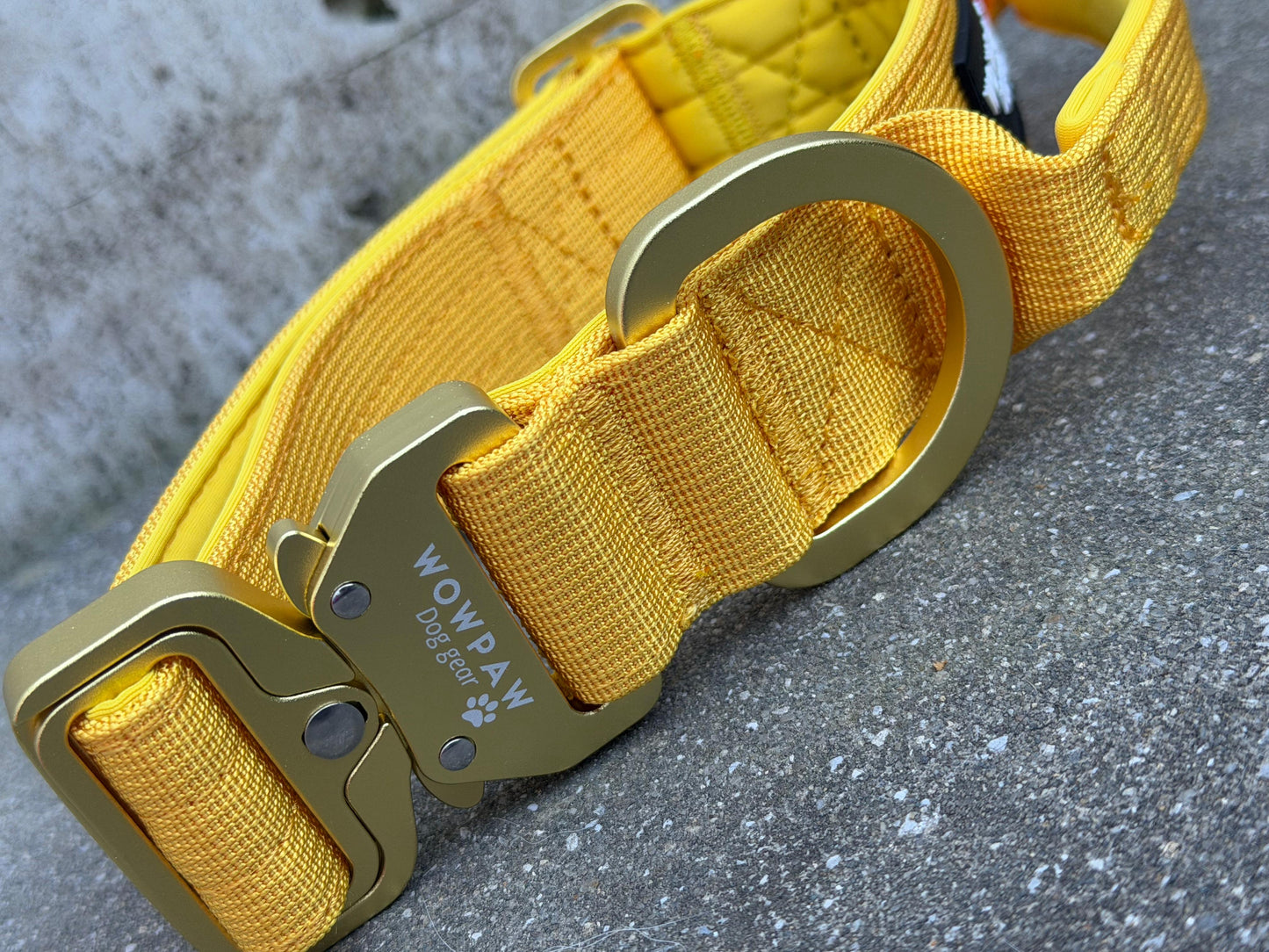 Taktisches Hundehalsband ULTRA LIGHT 3,8cm Yellow Edition M