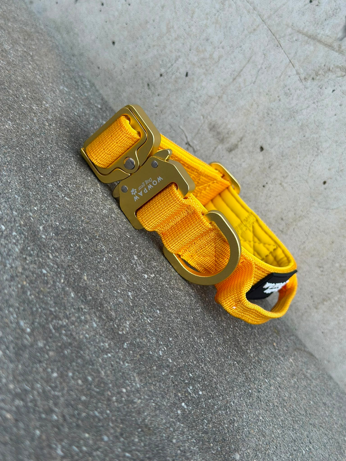 Wysokiej jakości taktyczna obroża dla psa XS 2,5cm, edycja żółta