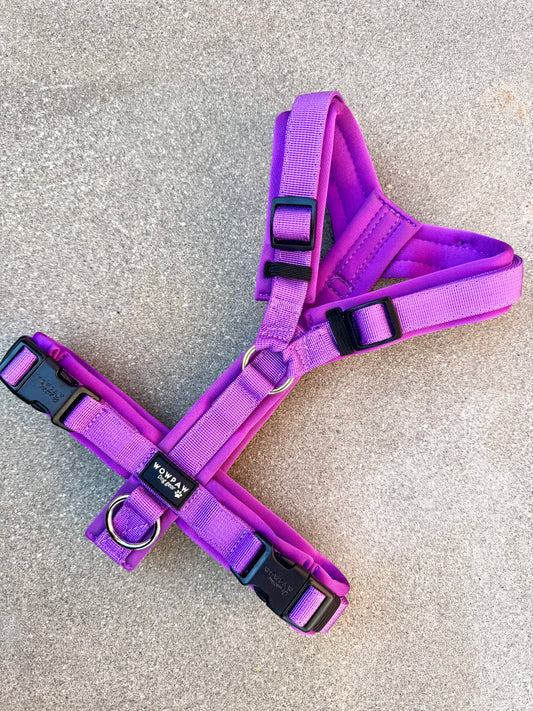 Wysokiej jakości szelki dla psa M Beżowe 