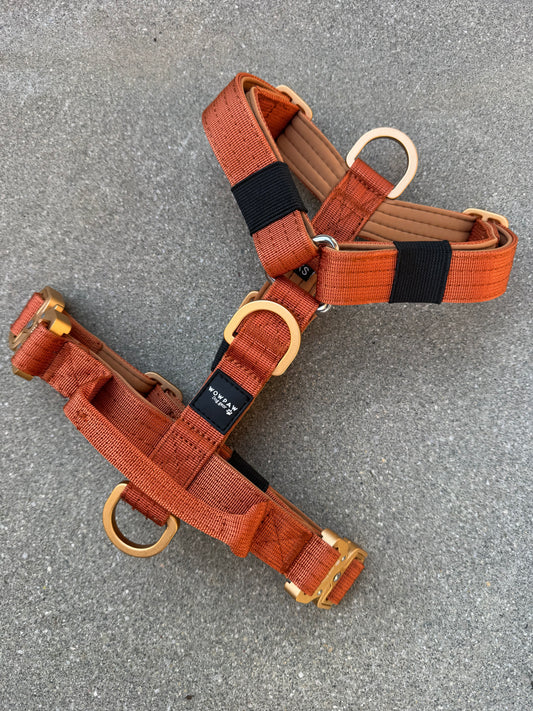 Wysokiej jakości szelki dla psa XS brązowe 