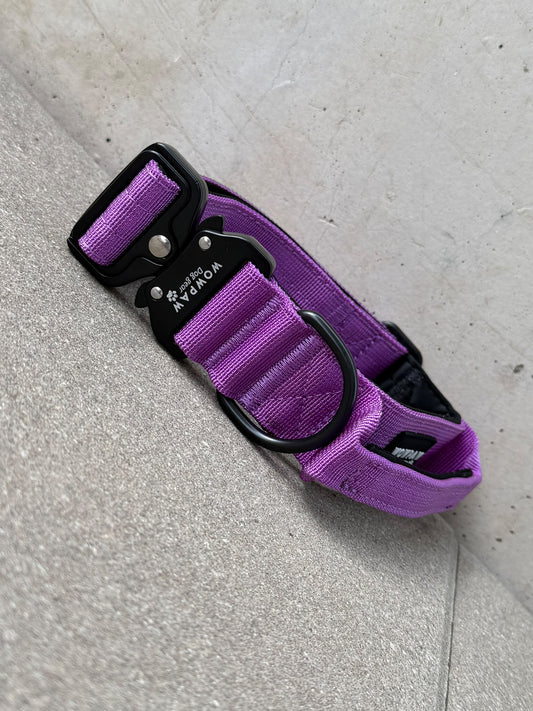 Hochwertiges taktisches Hundehalsband Dunkellila Größe S Breite 3,8cm
