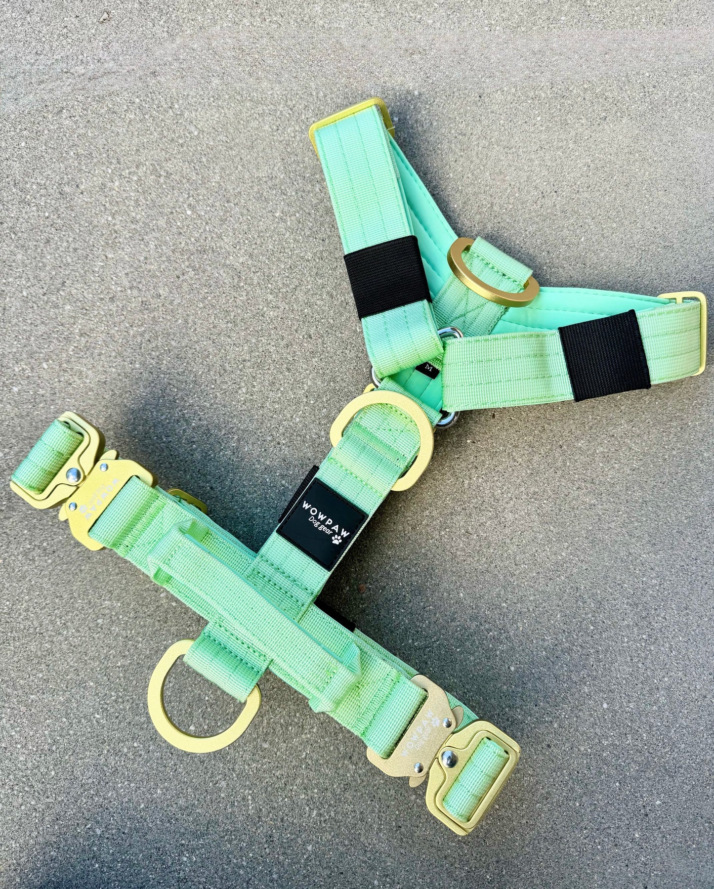 Wysokiej jakości szelki dla psa, rozmiar S, edycja pistacjowa