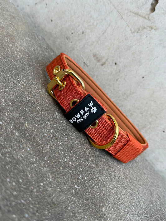Hochwertiges Basic Hundehalsband Kupfer 2,5cm Größe S