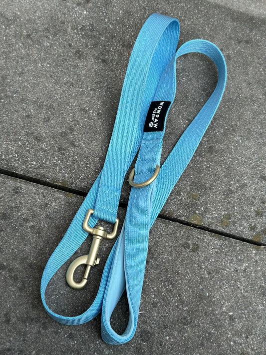 Standard Hundeleine S Länge 1,5m Sky Blue Edition