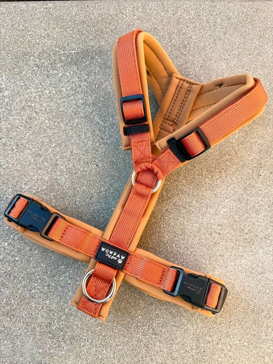 Wysokiej jakości szelki dla psa M Beżowe 