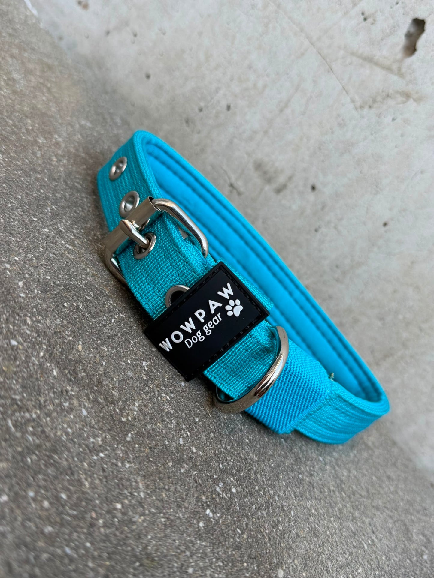 Hochwertiges Basic Hundehalsband Hellblau Edition 2,5cm Größe M