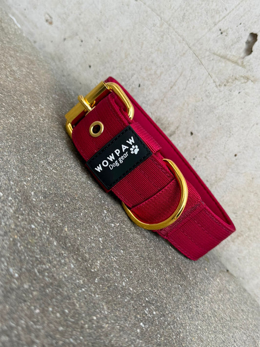 Wysokiej jakości podstawowa obroża dla psa Burgund-złoto Edition 3,8cm rozmiar L