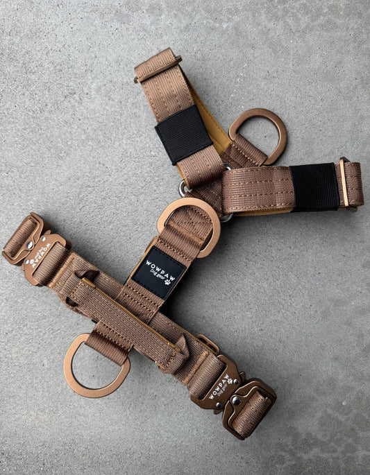 Pettorina per cani di alta qualità S arancione neon