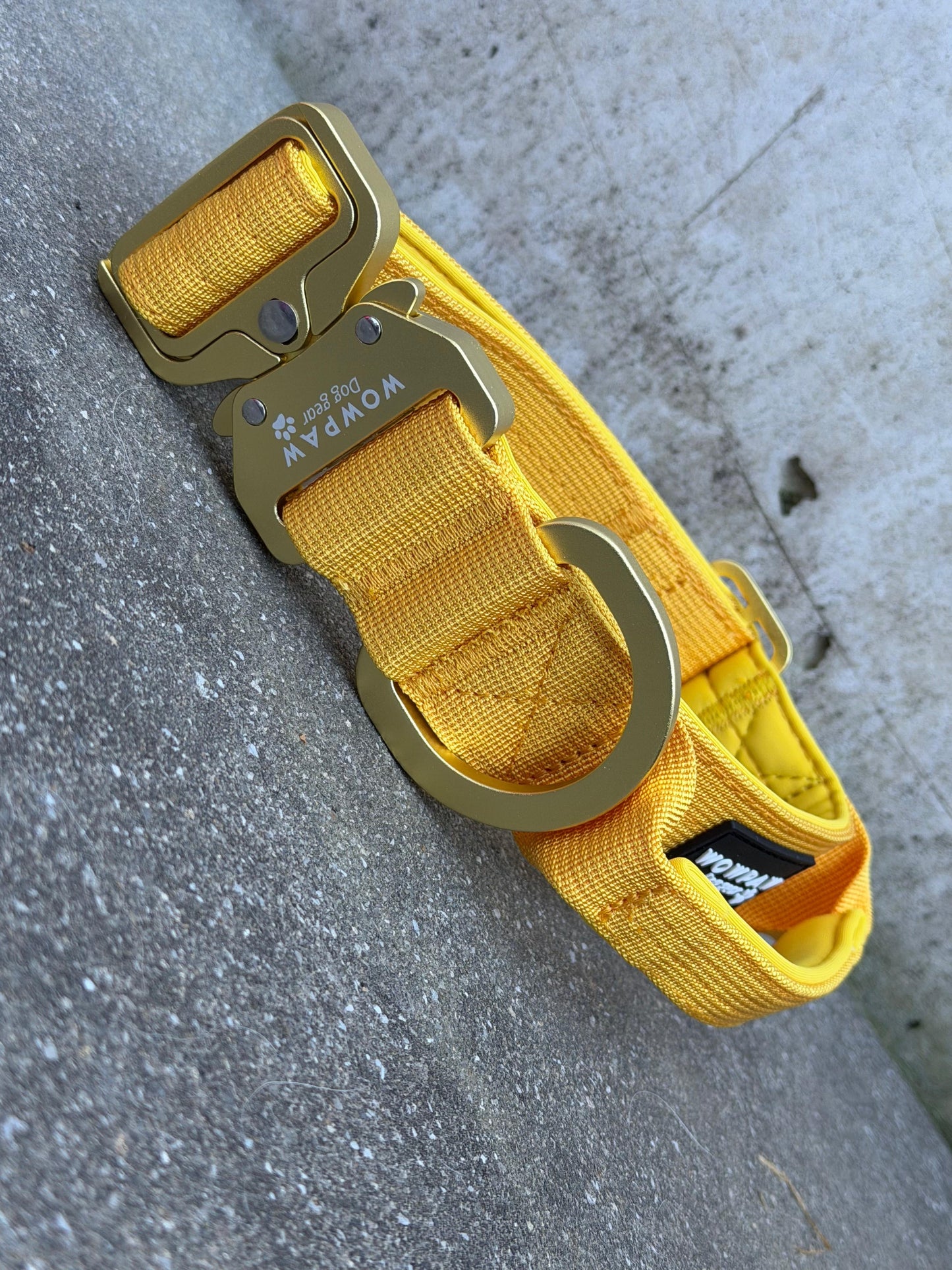 Taktisches Hundehalsband ULTRA LIGHT 3,8cm Yellow Edition M