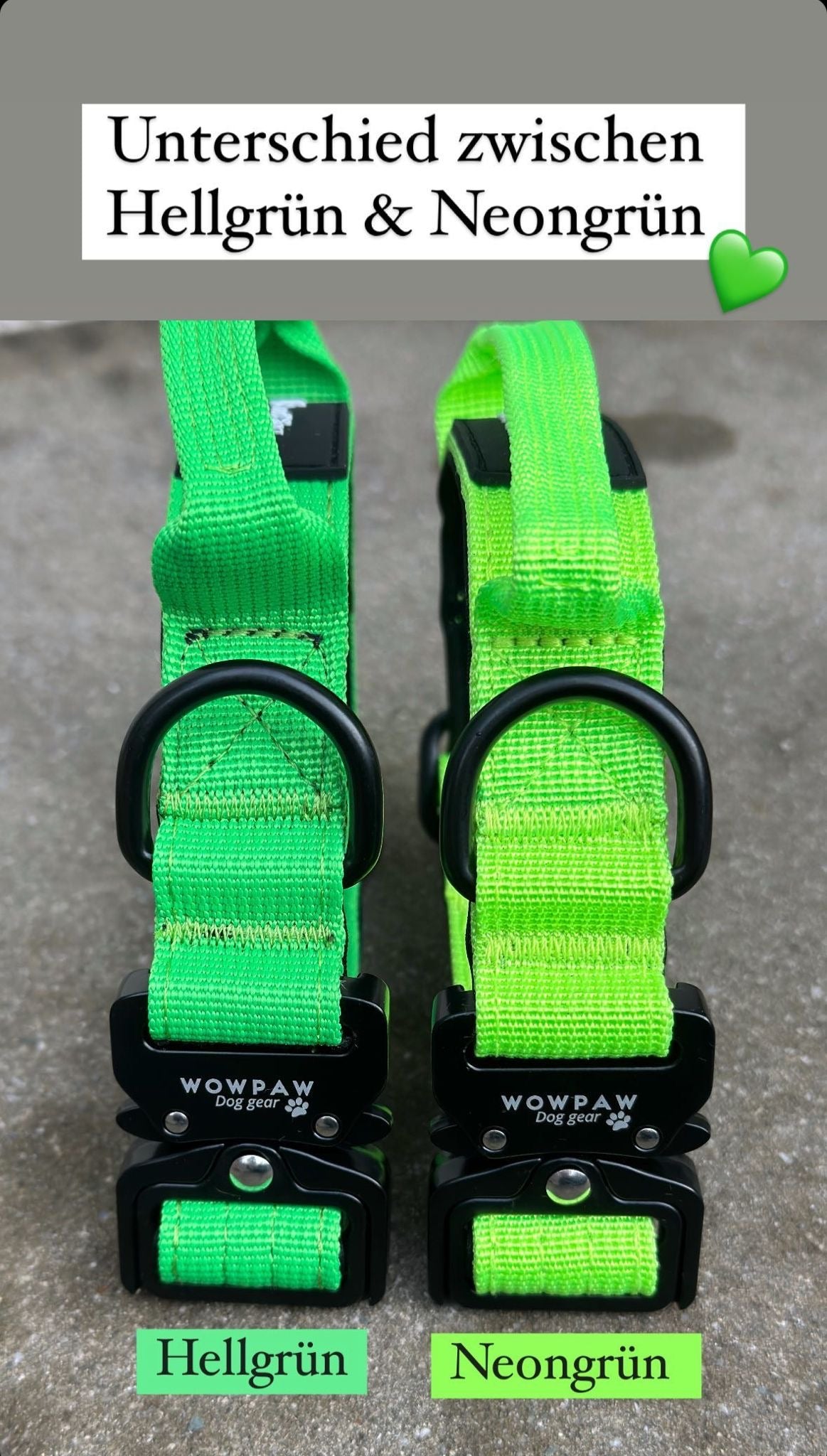 Wysokiej jakości taktyczna obroża dla psa XS 2,5 cm neonowa zieleń