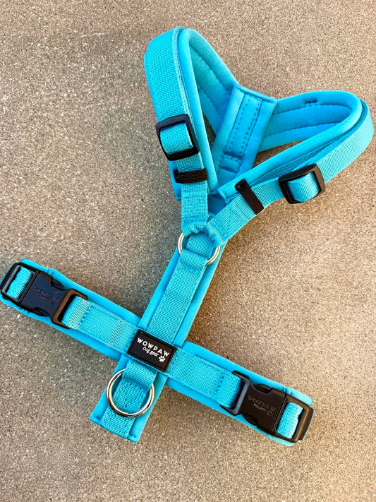 Wysokiej jakości szelki dla psa M Beżowe 