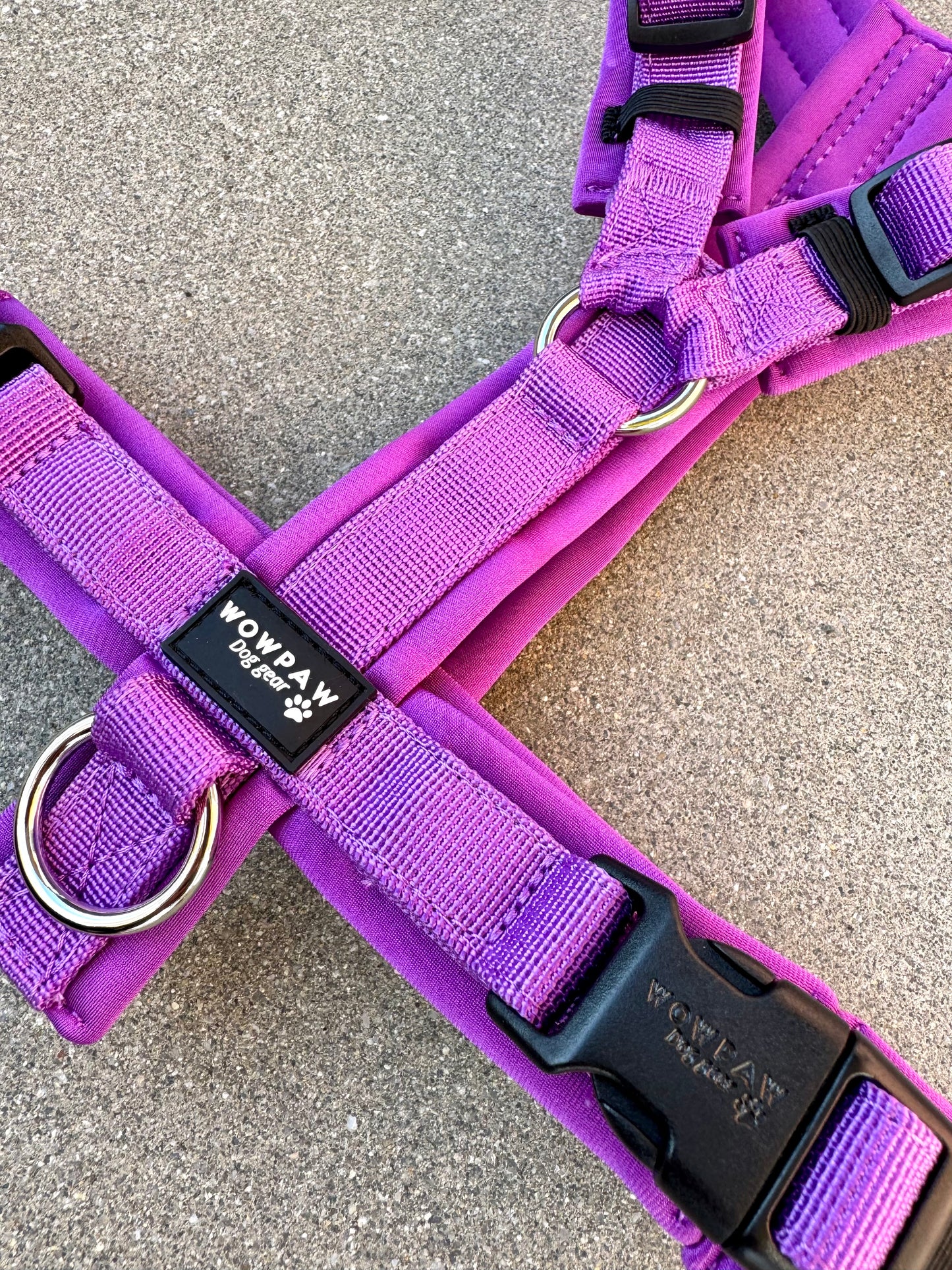 Hochwertiges Hundegeschirr FLOW Dunkellila Edition