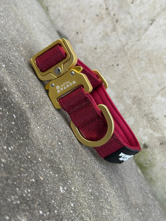 Hochwertiges taktisches Hundehalsband XS 2,5cm Burgund Edition ohne Griff