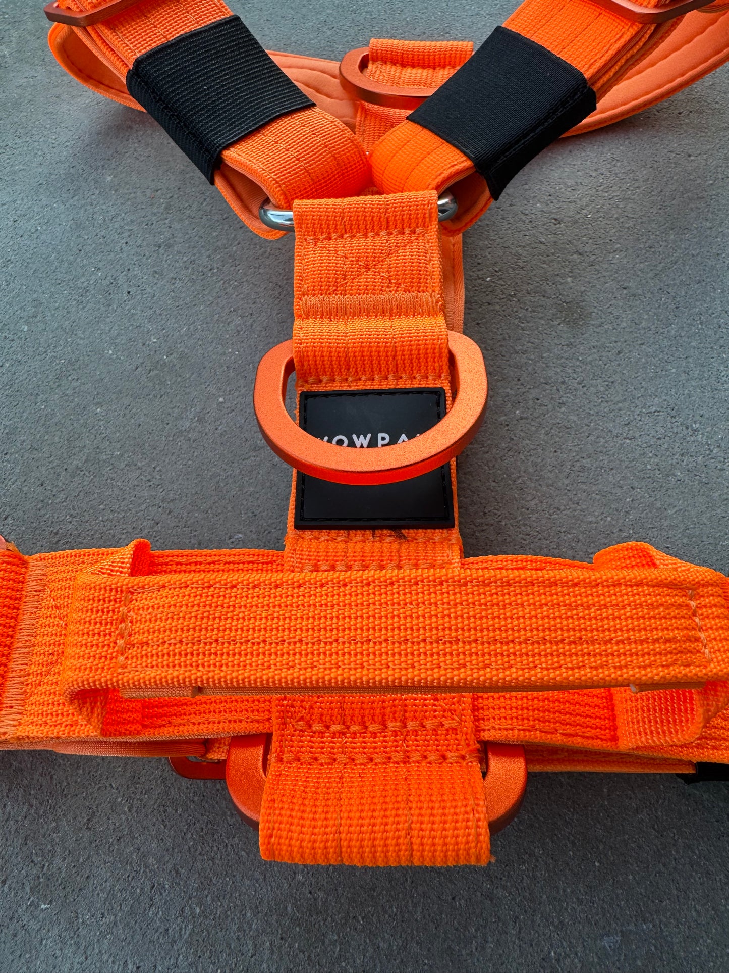 Wysokiej jakości szelki dla psa, rozmiar L, edycja neonowo pomarańczowa