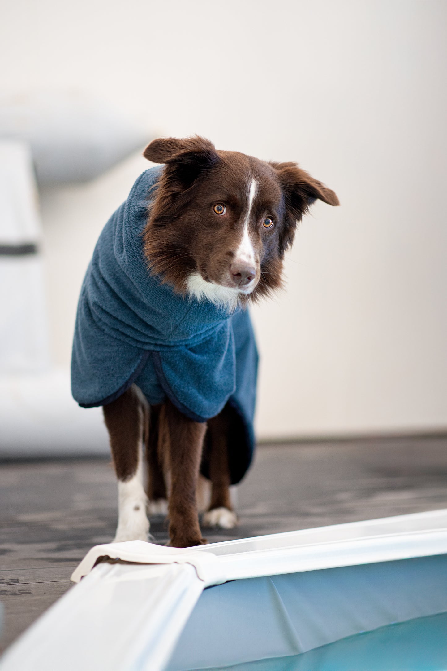 BathPomppa