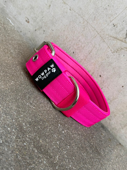 Collare per cani basic di alta qualità arancione neon taglia M