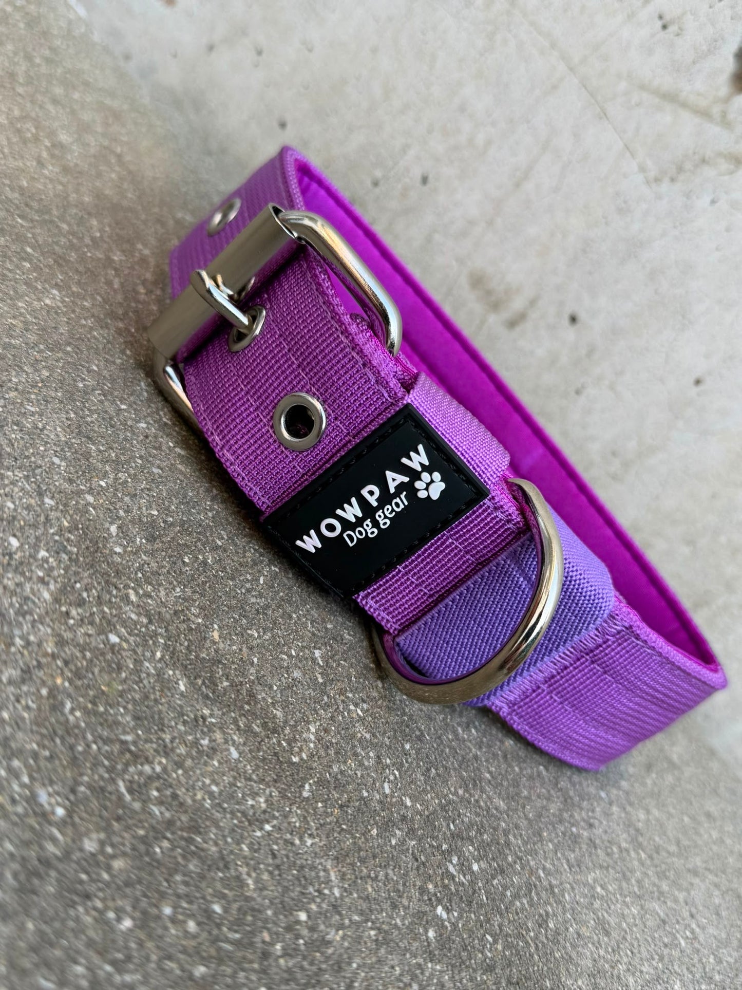 Hochwertiges Basic Hundehalsband Dunkellila Edition 3,8cm Größe S