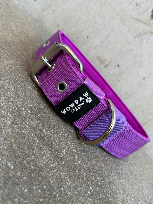 Collare per cani basic di alta qualità arancione neon taglia M