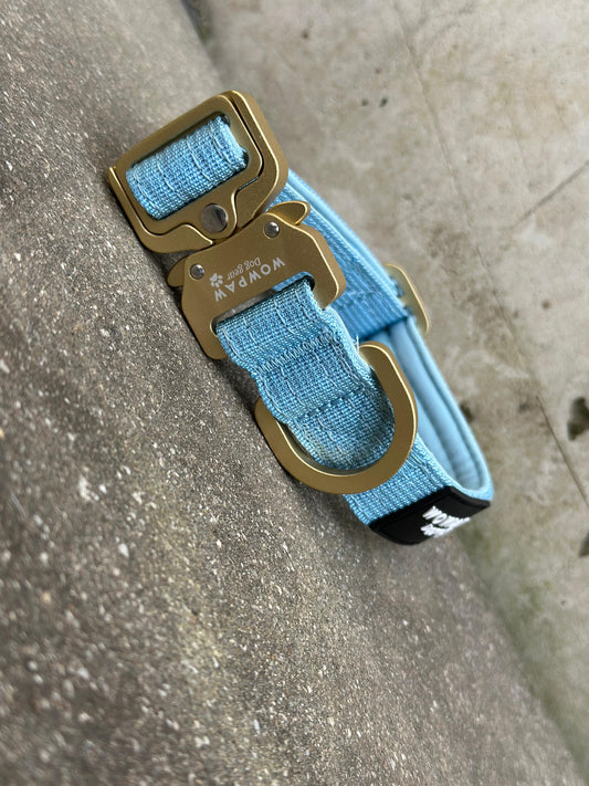 Hochwertiges taktisches Hundehalsband XS 2,5cm Espresso Sky Blue Edition ohne Griff