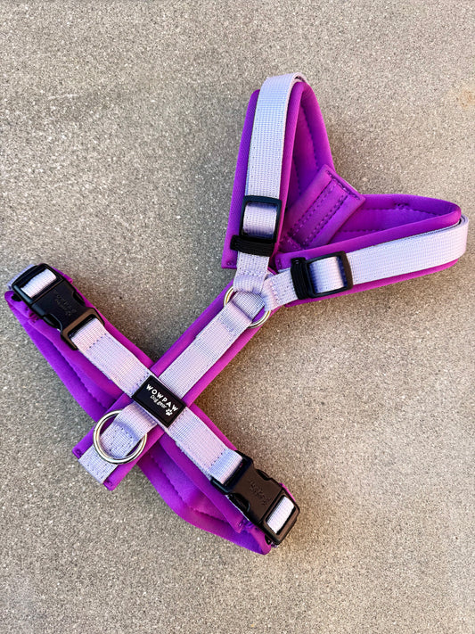 Wysokiej jakości szelki dla psa M Beżowe 