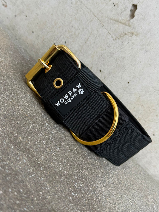 Wysokiej jakości podstawowa obroża dla psa Neonowy pomarańcz Rozmiar M