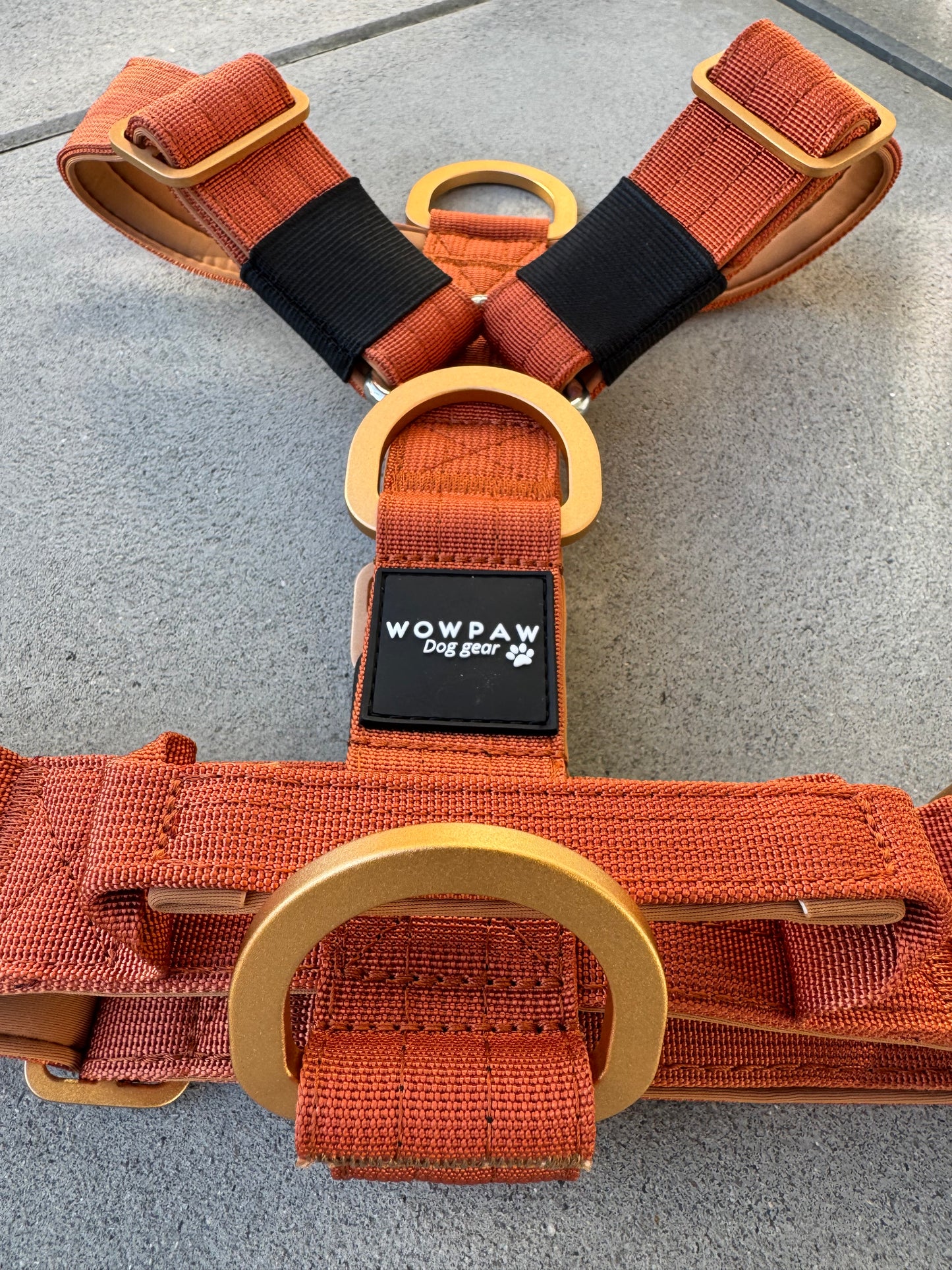 Wysokiej jakości szelki dla psa M Beżowe 