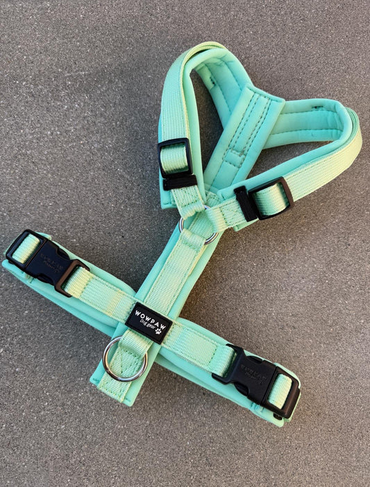 Wysokiej jakości szelki dla psa M Beżowe 