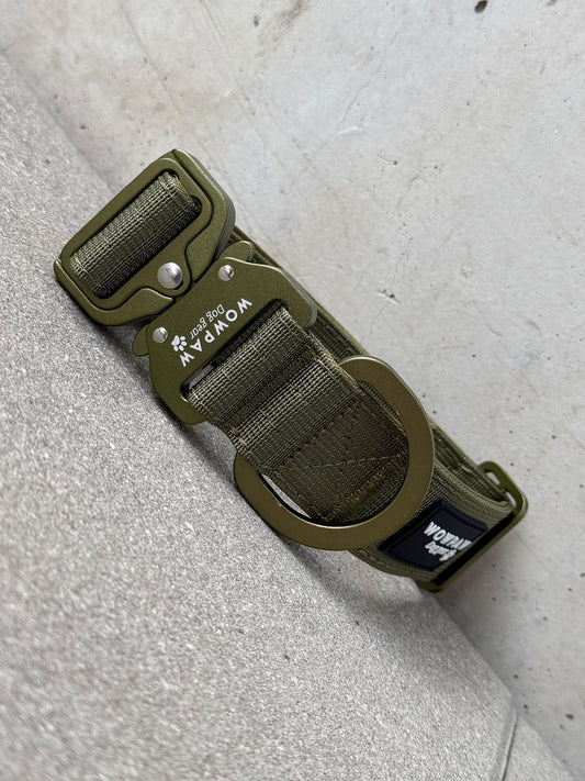 Wysokiej jakości taktyczna obroża dla psa 3,8 cm ULTRA LIGHT, edycja Army Green, rozmiar M, bez uchwytu