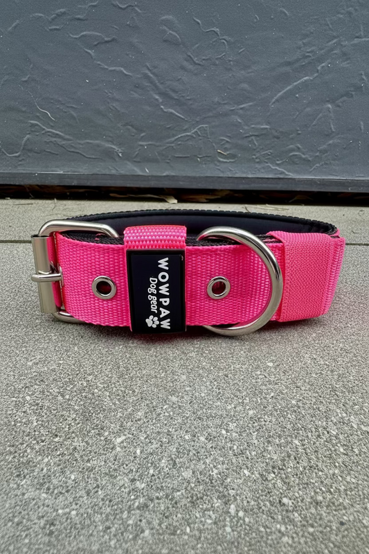 Hochwertiges Basic Hundehalsband Neonpink 4cm Größe L
