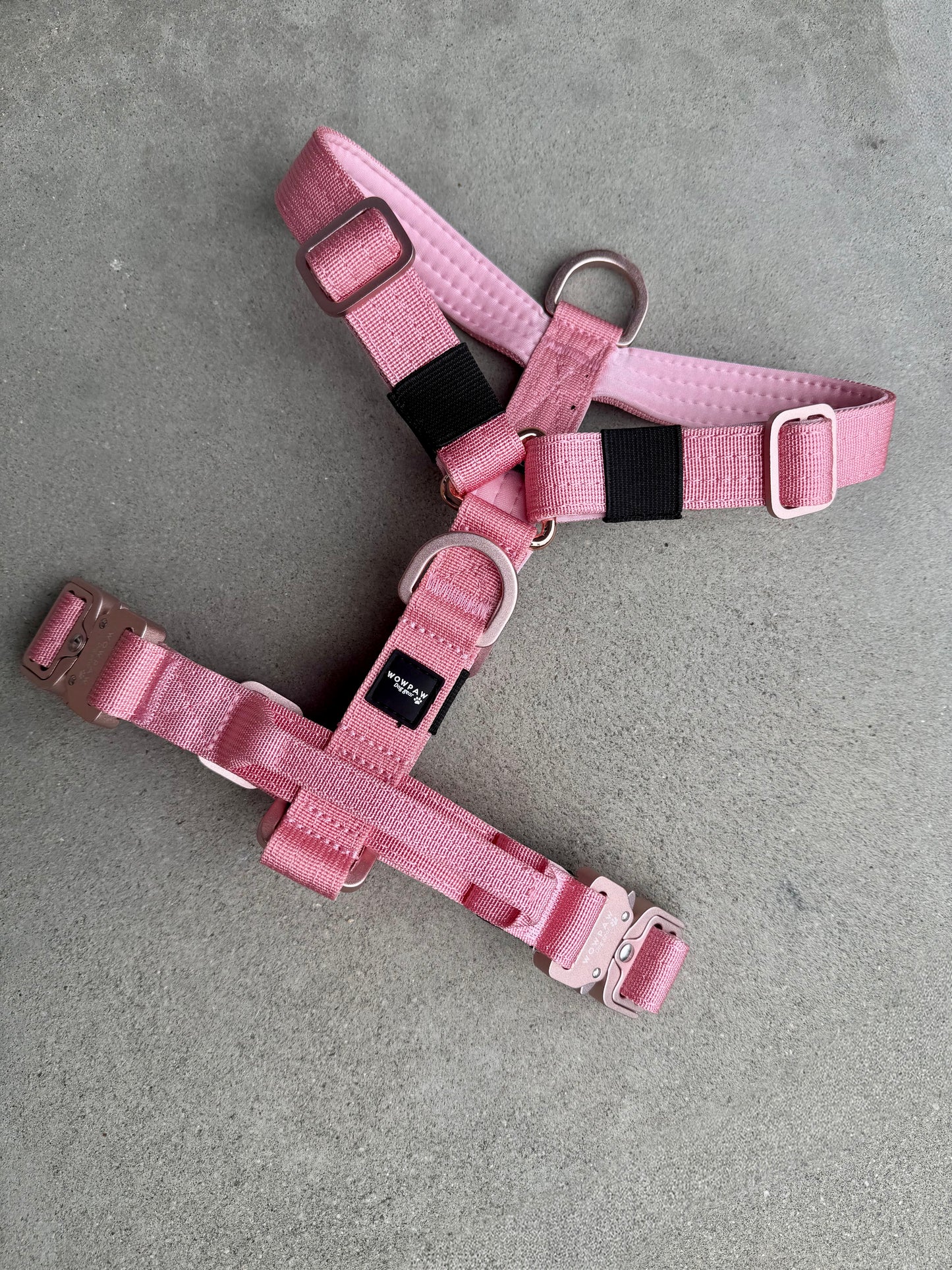 Pettorina per cani di alta qualità XS arancione neon