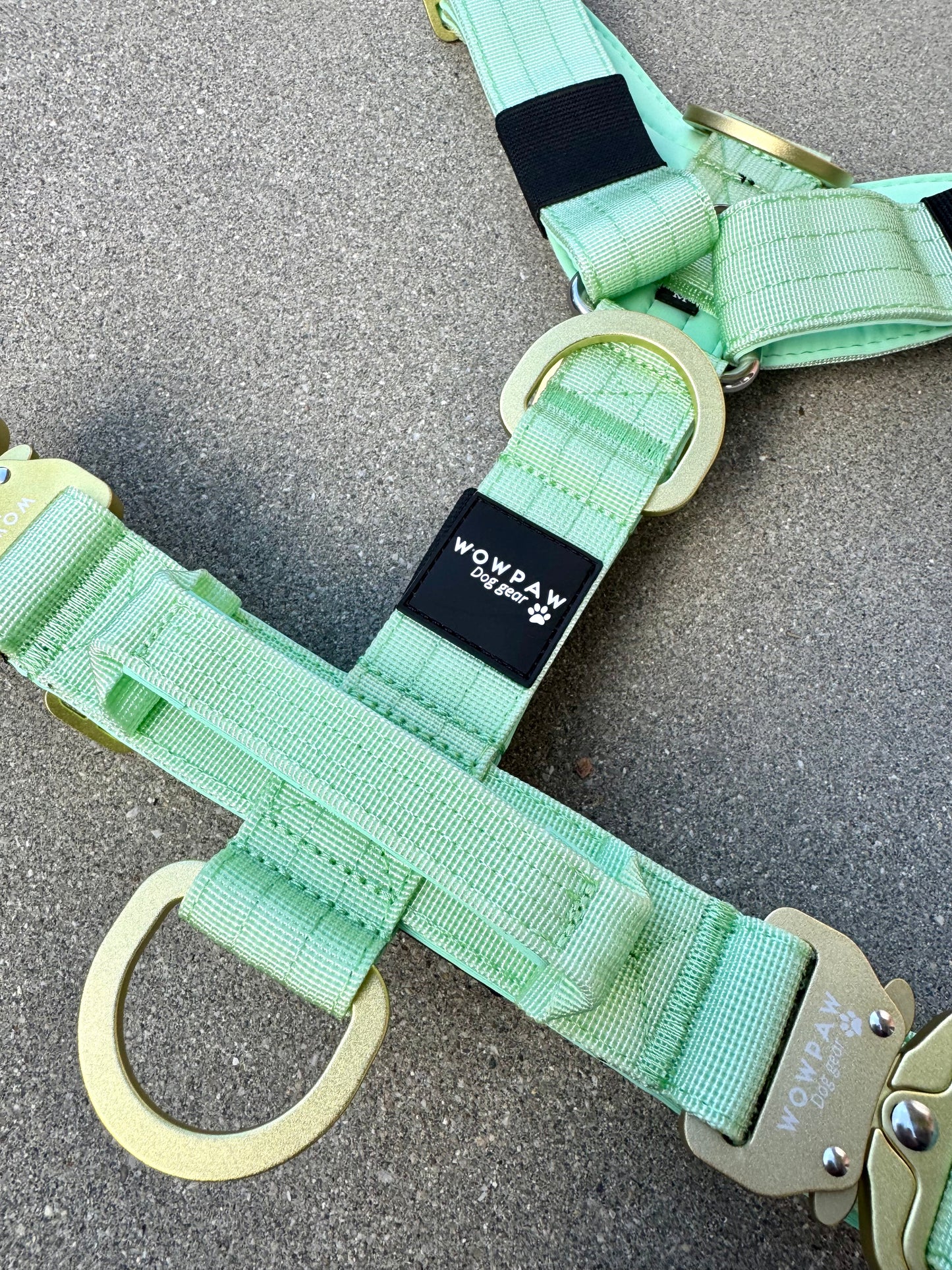 Wysokiej jakości szelki dla psa, rozmiar S, edycja pistacjowa