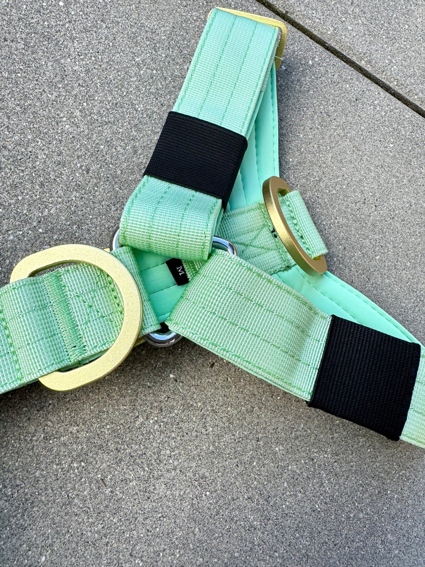 Wysokiej jakości szelki dla psa, rozmiar S, edycja pistacjowa