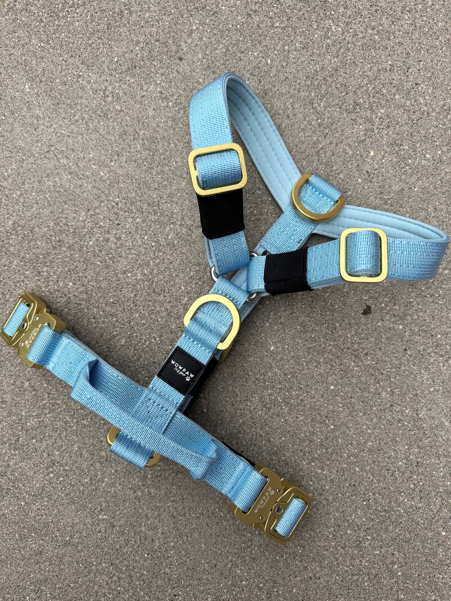 Wysokiej jakości szelki dla psa XS Sky Blue Edition