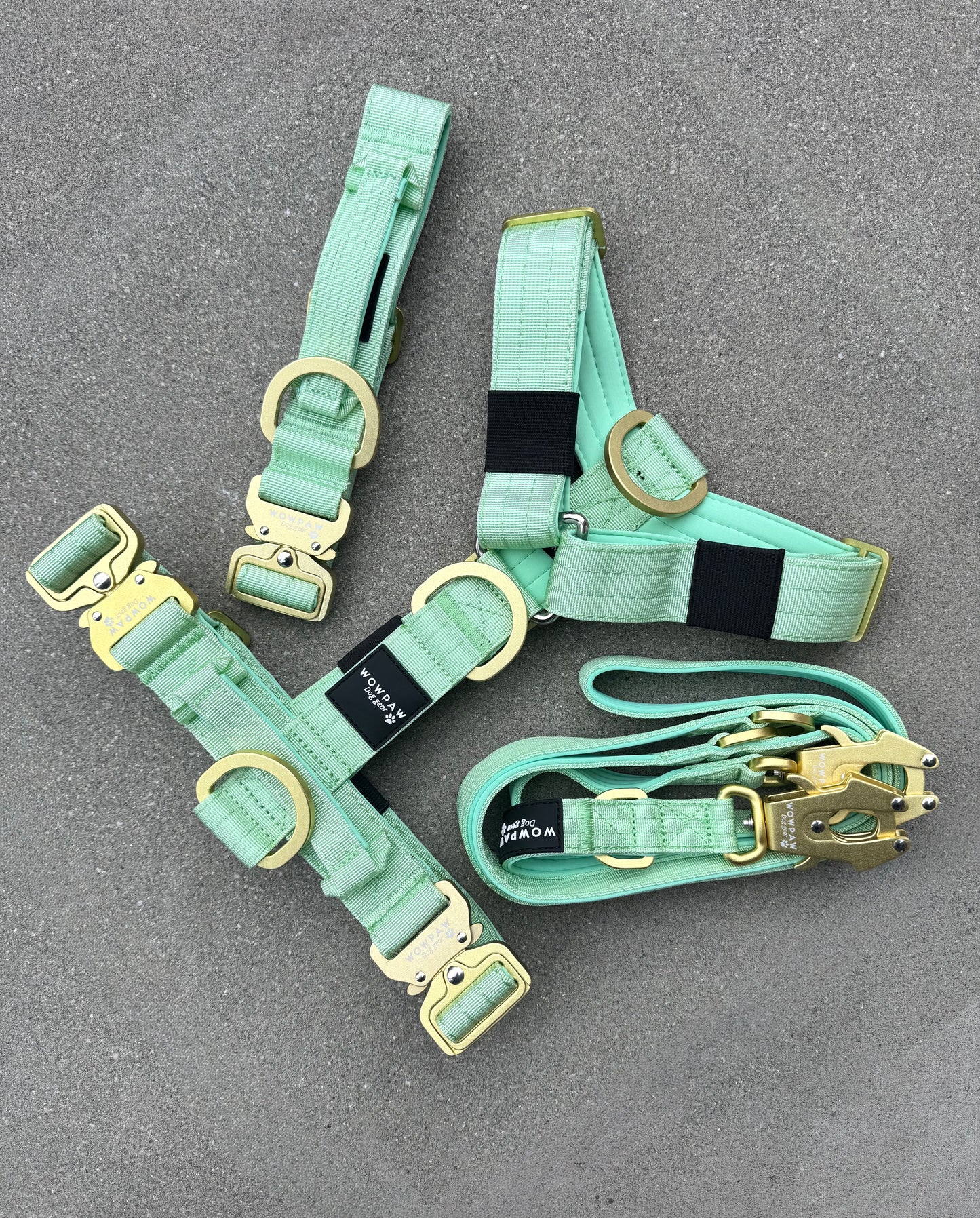 Wysokiej jakości szelki dla psa, rozmiar S, edycja pistacjowa