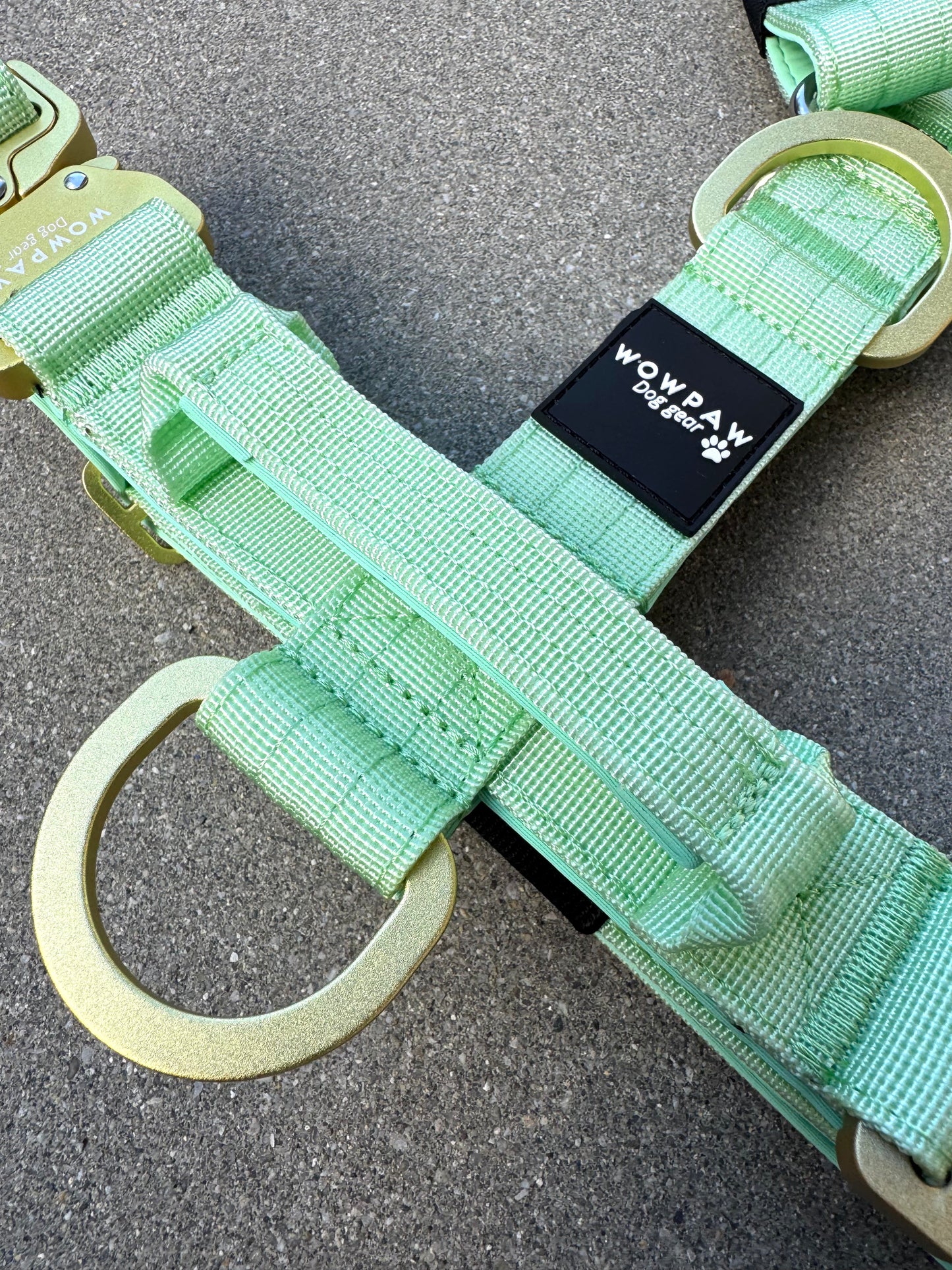 Wysokiej jakości szelki dla psa, rozmiar S, edycja pistacjowa