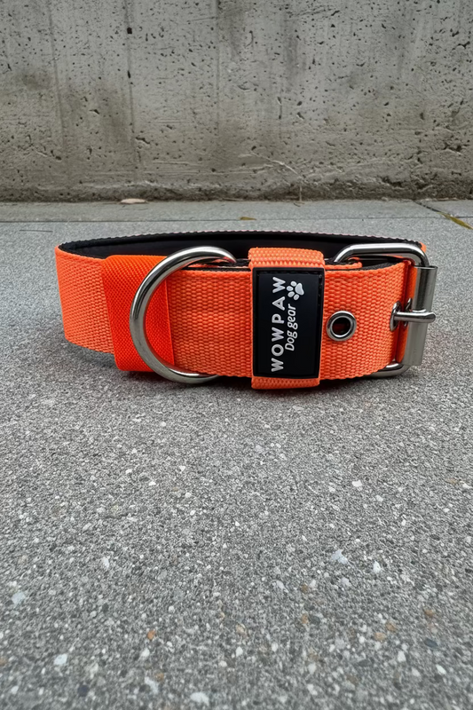 Hochwertiges Basic Hundehalsband Neonorange 4cm Größe L